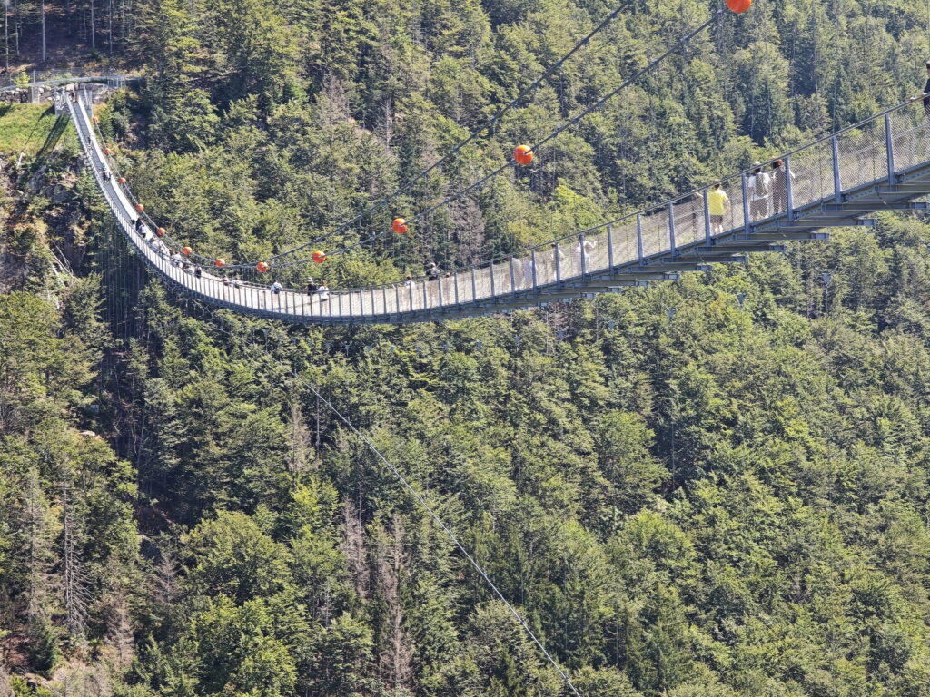 Blackforestline Hängebrücke - berühmte Brücke mit Blick auf die Todtnauer Wasserfälle